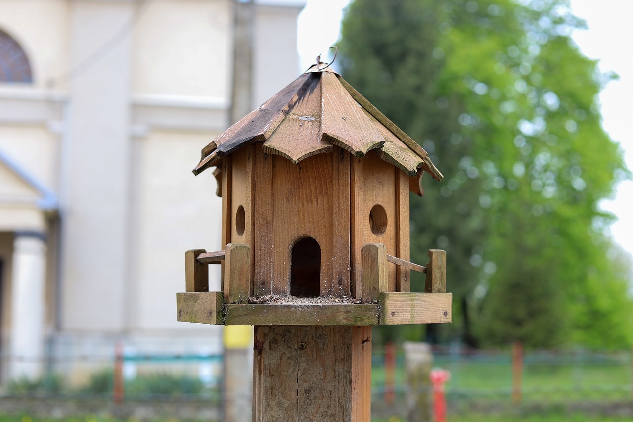 10 Must-Try Projects for Intermediate Woodworkers
